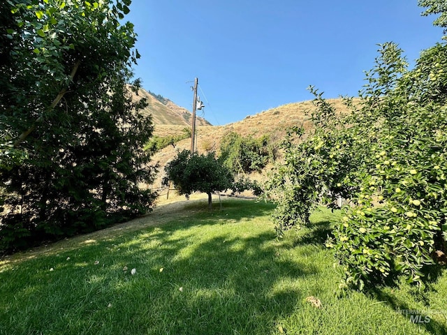 view of yard featuring a mountain view and a rural view