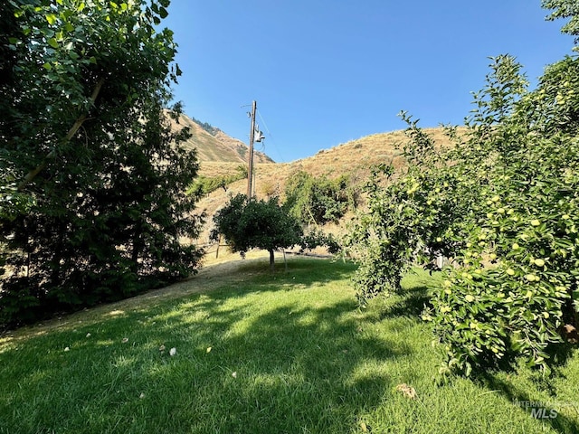 384 Race Creek Rd, Riggins, ID 83549 - view of yard featuring a mountain view