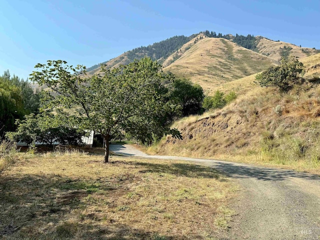 view of mountain feature