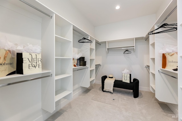 6203 W Estuary St, Eagle, ID 83616 - spacious closet with light carpet
