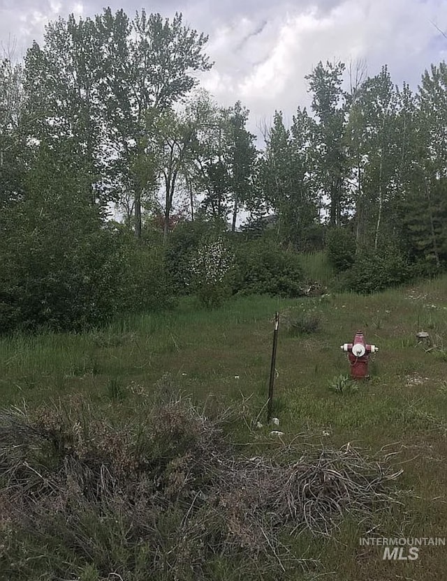 600 Riverside Dr, Bellevue, ID 83313