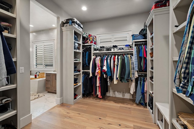 spacious closet with light wood finished floors