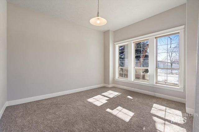 unfurnished room featuring carpet floors