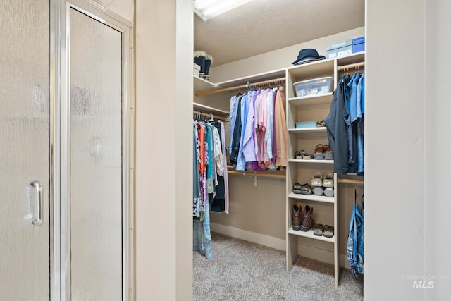 9462 W Whitecrest, Star, ID 83669 - spacious closet featuring carpet floors