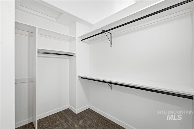 1006 Hill Rd, Homedale, ID 83628 - spacious closet featuring dark carpet