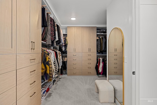 13684 N Sage Grouse Pl, Boise, ID 83714 - walk in closet featuring carpet flooring