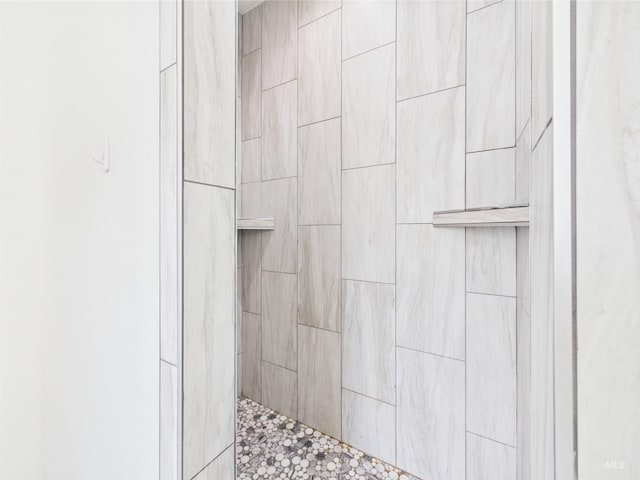 2420 Great Basin Way, Burley, ID 83318 - bathroom view of a tile shower
