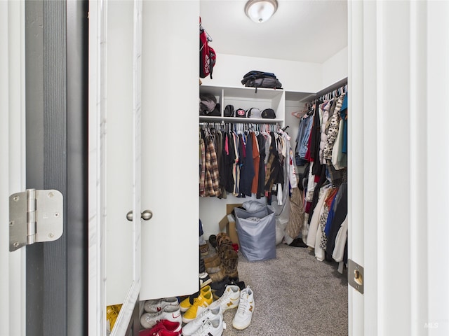 2420 Great Basin Way, Burley, ID 83318 - walk in closet with carpet floors