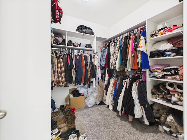 2420 Great Basin Way, Burley, ID 83318 - spacious closet featuring carpet floors
