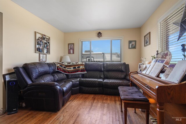 living room featuring wood-type flooring