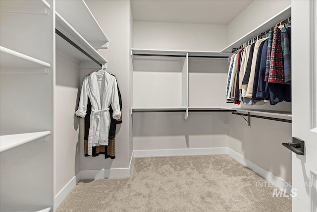 205 S Ripplerock Ln, Star, ID 83669 - walk in closet featuring carpet floors