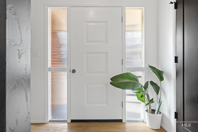 foyer featuring light hardwood / wood-style floors and a healthy amount of sunlight