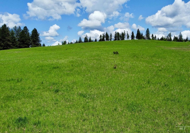 1726 Kidder Ridge Rd, Kamiah, ID 83536