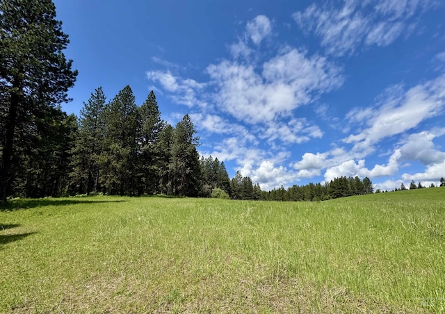 1726 Kidder Ridge Rd, Kamiah, ID 83536