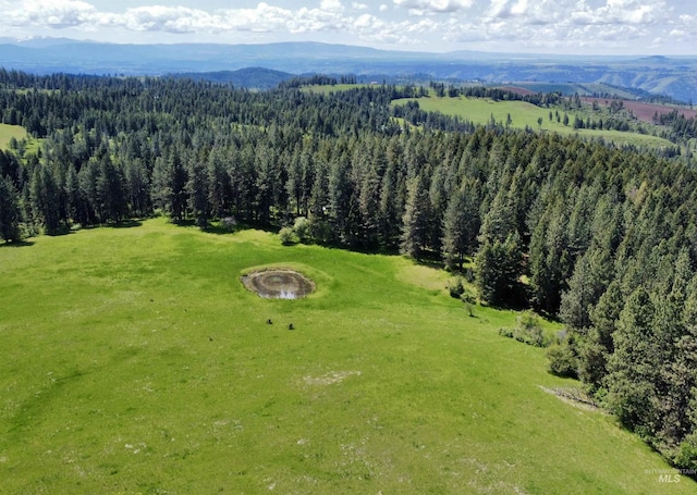 1726 Kidder Ridge Rd, Kamiah, ID 83536
