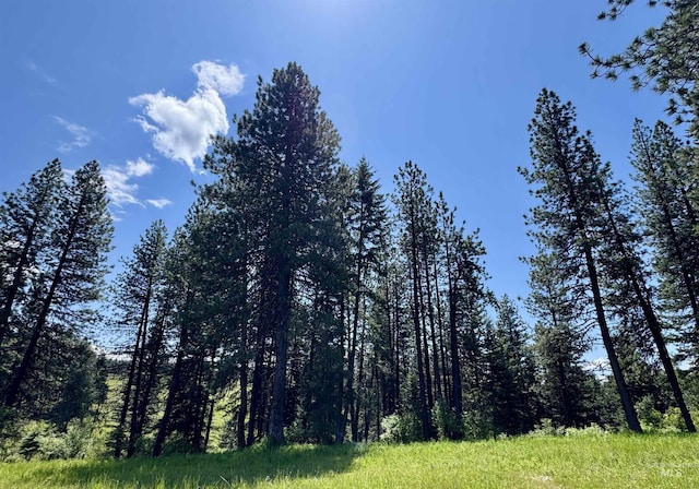 1726 Kidder Ridge Rd, Kamiah, ID 83536