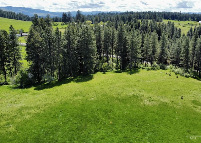 1726 Kidder Ridge Rd, Kamiah, ID 83536