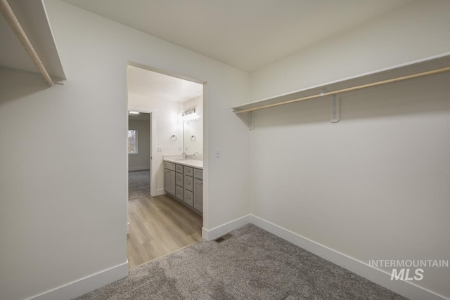 1611 Regency Way, Emmett, ID 83617 - walk in closet with light carpet and a sink