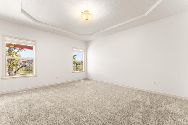 empty room featuring a wealth of natural light, carpet flooring, a tray ceiling, and baseboards