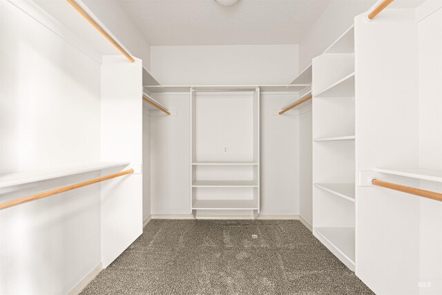 walk in closet featuring carpet floors