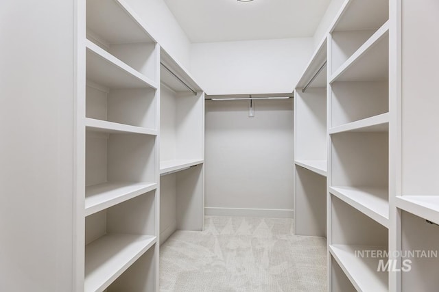 2528 S Linnet Pl, Boise, ID 83716 - walk in closet featuring light colored carpet