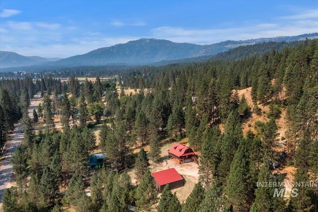 bird's eye view with a mountain view