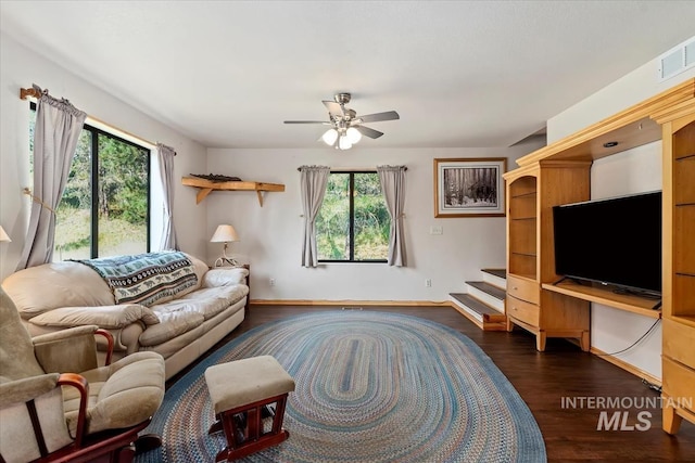 living room with ceiling fan, visible vents, plenty of natural light, and dark wood-type flooring