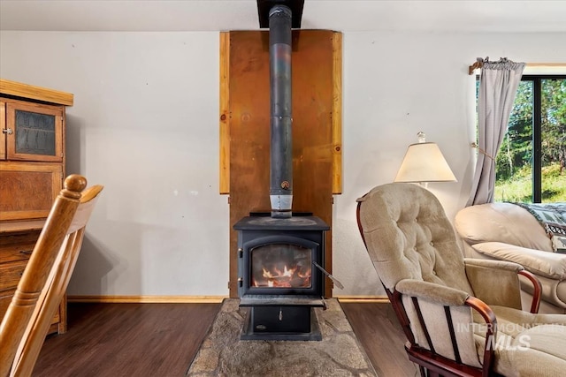 details featuring baseboards, a wood stove, and wood finished floors