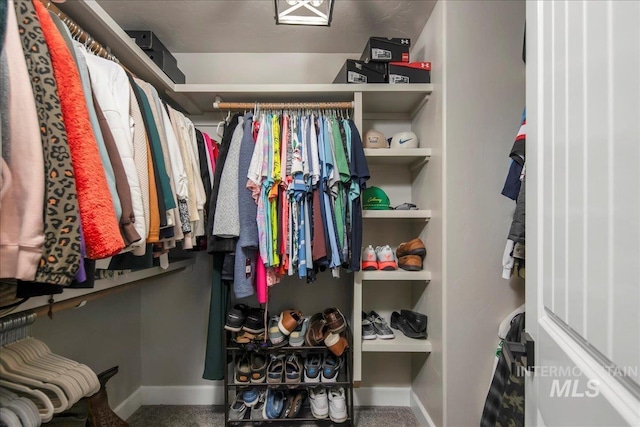 view of spacious closet