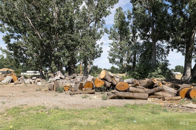 10489 Scotch Pine Rd, Payette, ID 83661 - view of yard