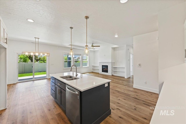 2967 E Diorite St, Nampa, ID 83686 - kitchen with a sink, stainless steel dishwasher, a glass covered fireplace, light countertops, and light wood-type flooring