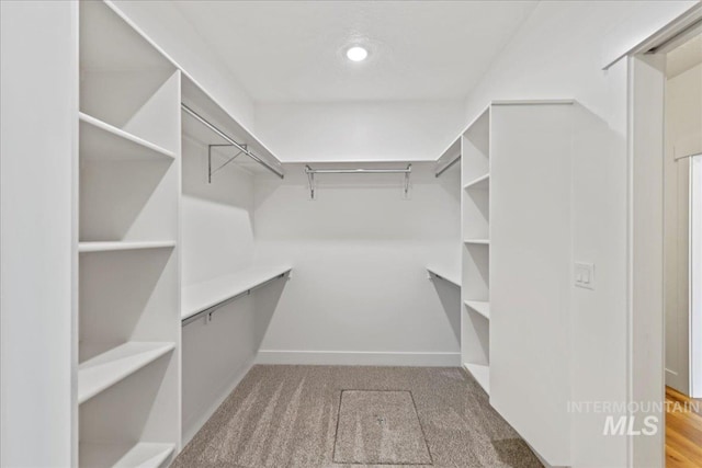 2967 E Diorite St, Nampa, ID 83686 - spacious closet featuring carpet