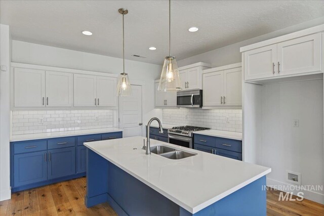 2967 E Diorite St, Nampa, ID 83686 - kitchen with appliances with stainless steel finishes, blue cabinets, a sink, wood finished floors, and decorative backsplash
