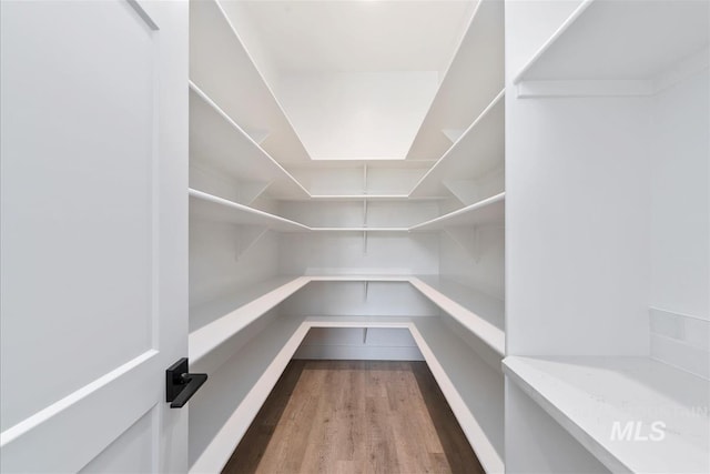 124 S Eagles Roost Way, Eagle, ID 83616 - view of pantry