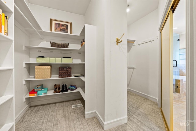 spacious closet featuring carpet
