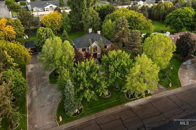 bird's eye view