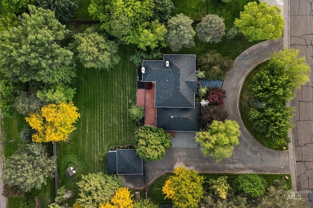 drone / aerial view