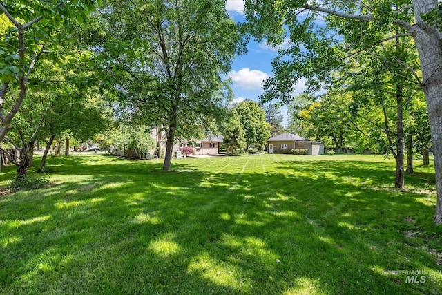 view of green lawn