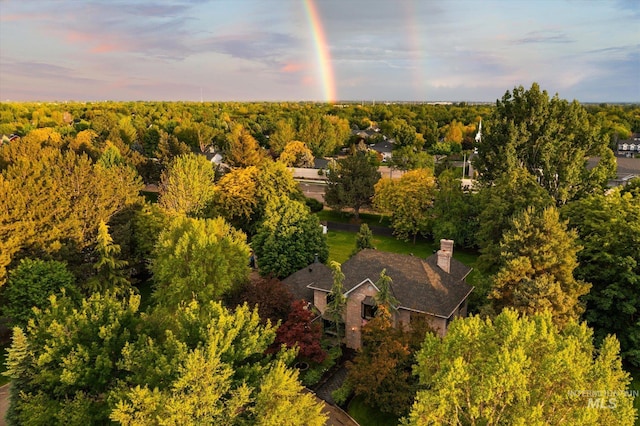 view from above of property with a forest