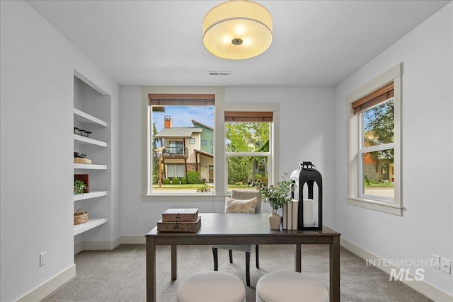 1337 E Lone Shore Dr, Eagle, ID 83616 - home office featuring carpet flooring and baseboards