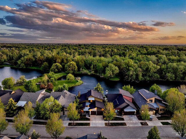 1337 E Lone Shore Dr, Eagle, ID 83616 - aerial view at dusk of a view of trees, a water view, and a residential view