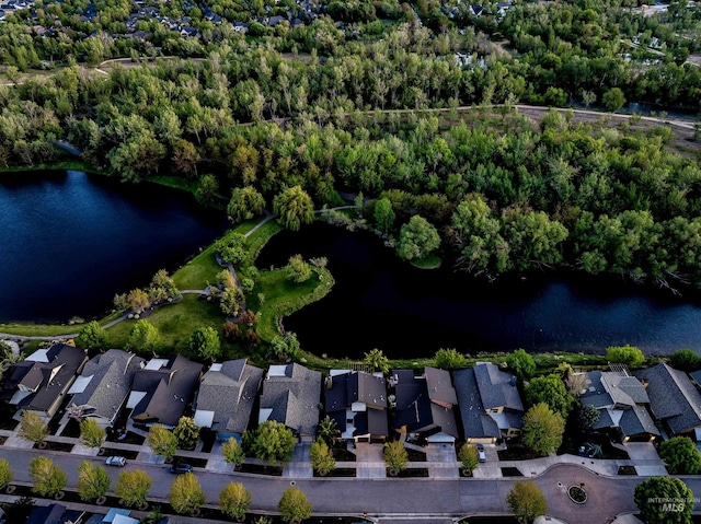 1337 E Lone Shore Dr, Eagle, ID 83616 - view of property location featuring a large body of water and nearby suburban area