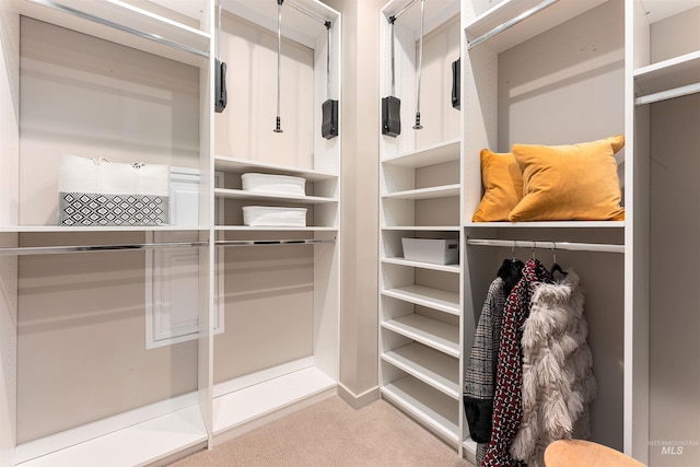 119 S 10th Unit 605, Boise, ID 83702 - walk in closet with carpet flooring