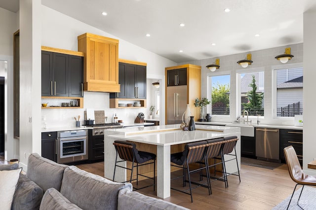 5720 W Little Feather St, Eagle, ID 83616 - kitchen featuring stainless steel appliances, open floor plan, lofted ceiling, a breakfast bar, and light countertops