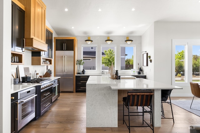 5720 W Little Feather St, Eagle, ID 83616 - kitchen featuring appliances with stainless steel finishes, light countertops, healthy amount of natural light, recessed lighting, and a kitchen island