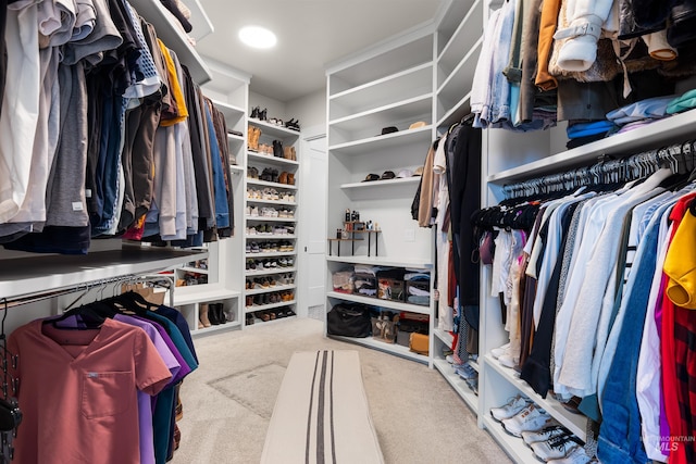 5720 W Little Feather St, Eagle, ID 83616 - walk in closet with carpet flooring