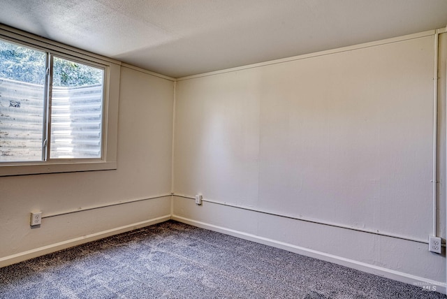 413 S Minnesota Ave, Fruitland, ID 83619 - empty room featuring carpet and a textured ceiling