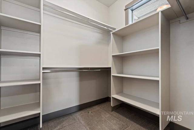 walk in closet featuring dark colored carpet