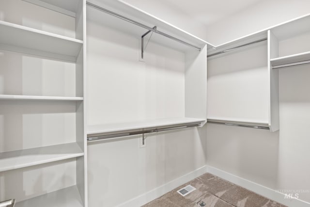 1753 E Grayson, Meridian, ID 83642 - spacious closet featuring carpet flooring