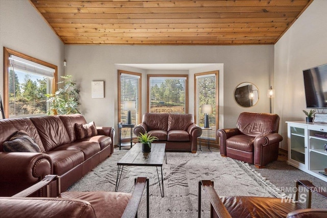 502 Lake Cascade Pkwy Unit 6, Cascade, ID 83611 - carpeted living room with wooden ceiling, healthy amount of natural light, and lofted ceiling